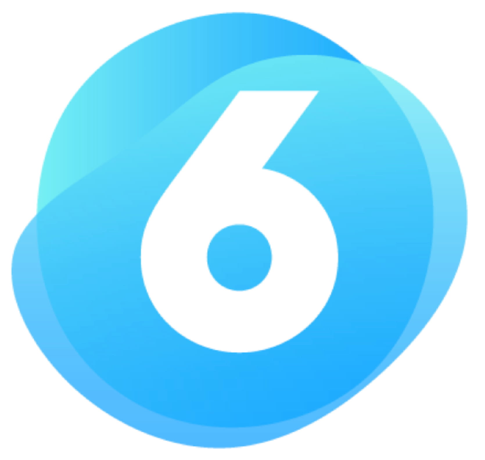 Shopware 6 Logo
