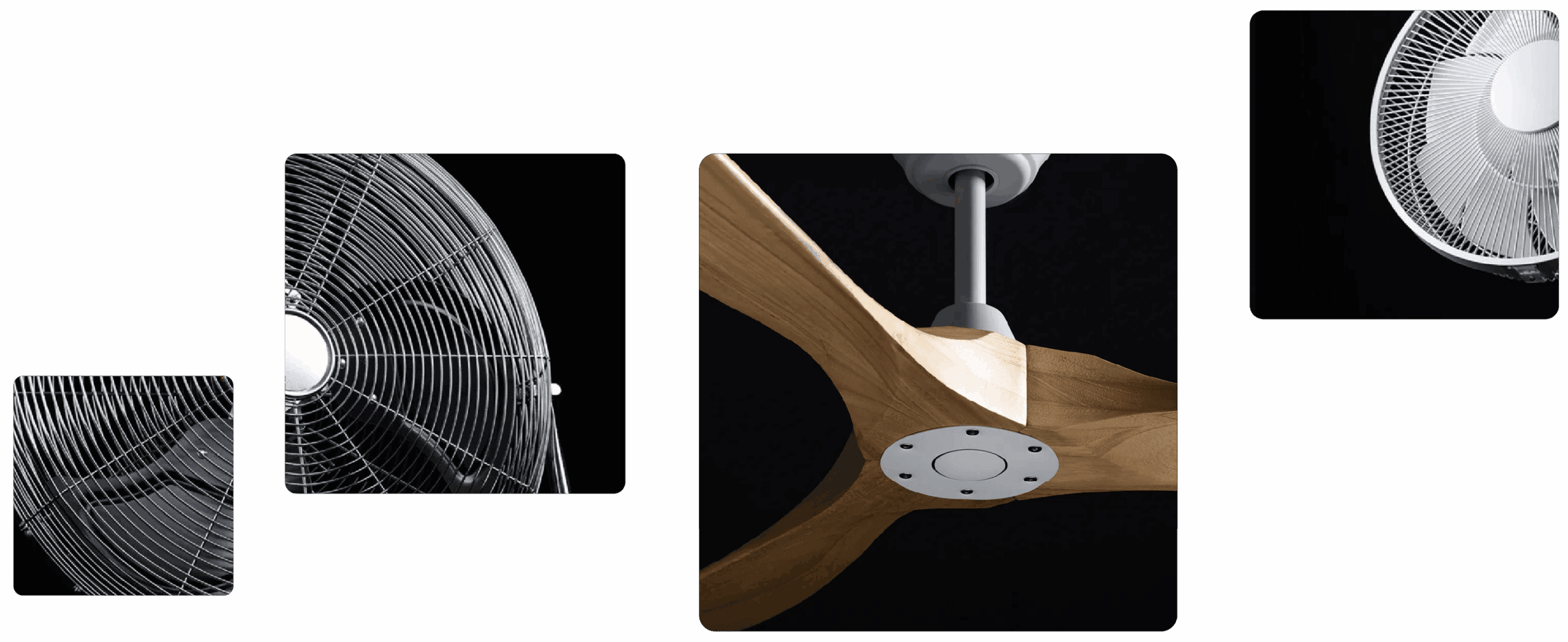 Eine Collage aus vier hochwertigen Produktfotografien von CasaFan-Ventilatoren vor schwarzem Hintergrund. Im Fokus steht ein moderner Deckenventilator mit drei elegant geschwungenen Echtholz-Flügeln und grauer Halterung. Die kleineren Detailaufnahmen zeigen verschiedene Stand- und Bodenventilatoren mit Fokus auf die präzise verarbeiteten Metall-Schutzgitter und die dynamische Form der Rotorblätter. Hero Bild vom Casafan Case der Quokka Commerce GmbH